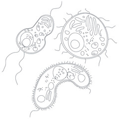 
set of black and white bacteria. coloring germs.