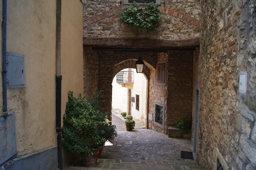 Fototapeta na wymiar Typical alley in the ancient medieval village of Montefioralle, Tuscany, Italy