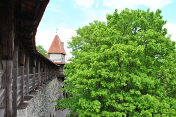 Tallin estonia clásico castillo