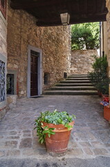 Fototapeta na wymiar Typical alley in the ancient medieval village of Montefioralle, Tuscany, Italy