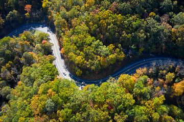 Aerial view of asphalt road winding through alpine forest in autumn