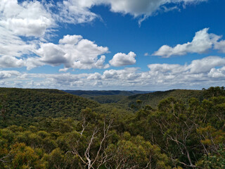 Breathtaking view of mountain and valley landscape on a blue sky with white clouds , Wideview Lookout, Berowra Heights, Berowra Valley National Park, Sydney, New South Wales, Australia
