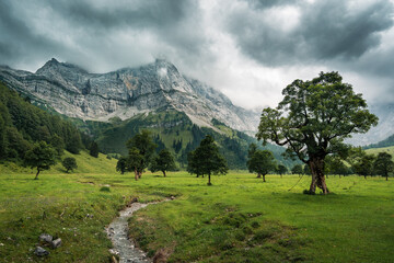 Großer Ahornboden im Karwendelgebirge mit dramatischem Himmel.
