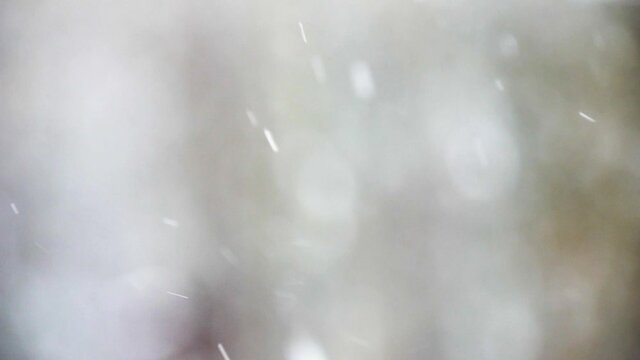 Video of a dreamy background of snow falling during a snowstorm with an out of focus forest in the distance.