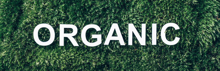 Word Organic on moss, green grass background. Top view. Copy space. Banner. Biophilia concept. Nature backdrop. Healthy diet, eco friendly lifestyle