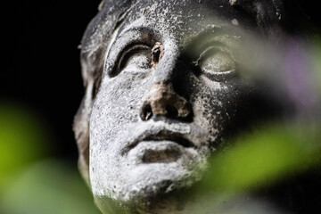 Face of stone angel