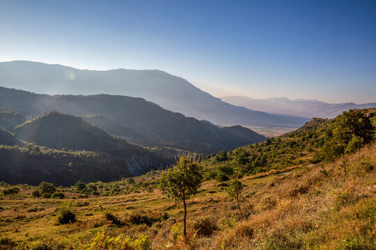 Forested mountains at summer dawn