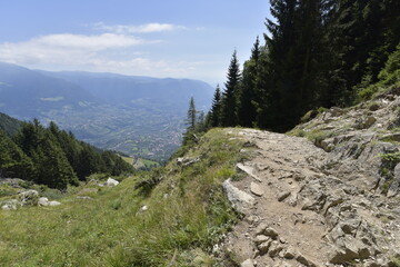 Fototapeta na wymiar Südtirol, Berge, Wandern, Bergwandern, Meran, Mutkopf, Reisen, Urlaub, Sommer