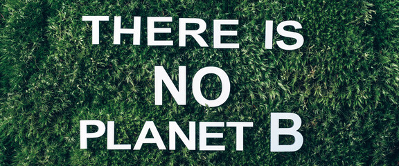 Inscription There Is No Planet B on moss, green grass background. Top view. Copy space. Banner. Biophilia concept. Nature backdrop