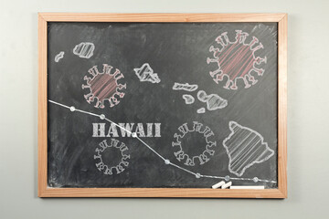 Hawaii Chalkboard Coronavirus Illustration