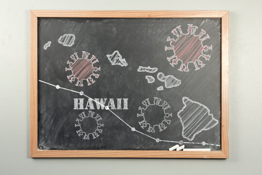 Hawaii Chalkboard Coronavirus Illustration