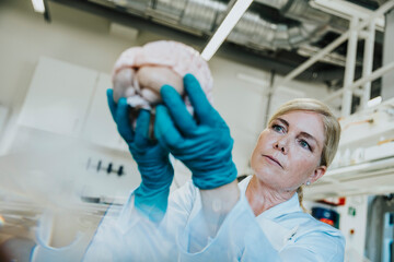 Female scientist studying artificial human brain while working at laboratory
