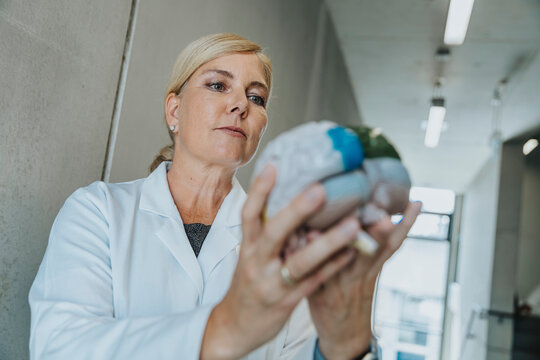 Woman holding multi colored artificial brain while standing at clinic corridor