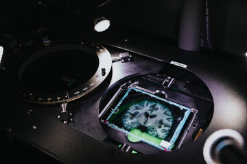 Human brain slide in advance microscope at laboratory