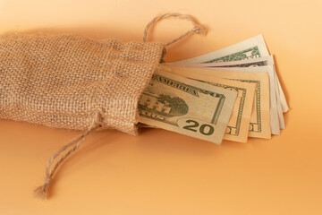 DOLLAR money in bag on light color background on beige background.