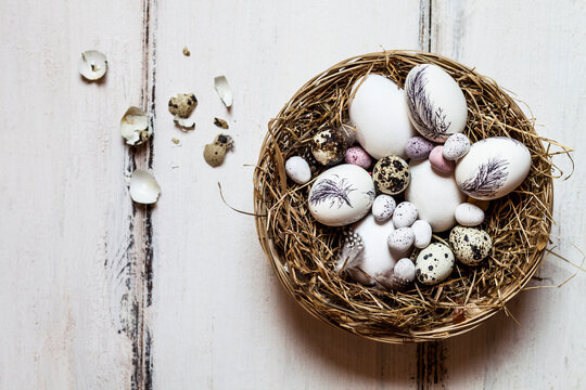 Birds nest filled with quail and Easter eggs