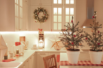 Small Christmas trees and festive decor in kitchen
