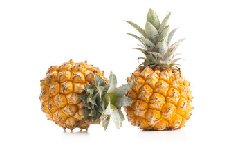 Ripe baby pineapple. Mini pineapple isolated on white background.