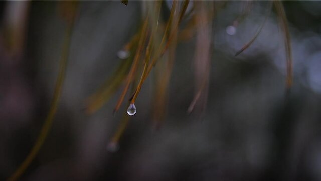 Water drop with little depth of field. Mid angle, parallax movement, slow motion, HD.