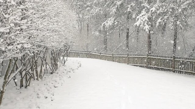 Loopable cinemagraph slow motion of wooden fence, falling winter snowflakes, snowing, snow covered forest trees, heavy snowstorm, storm, by rural countryside house, home
