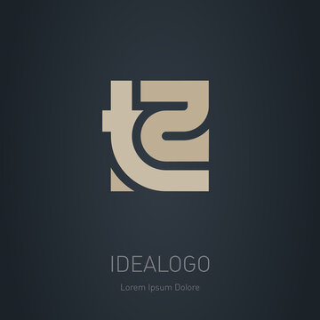 T2 - logotype, design element or icon. Vector monogram. T and 2 logo.