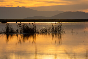 Golden Hues Over the Water