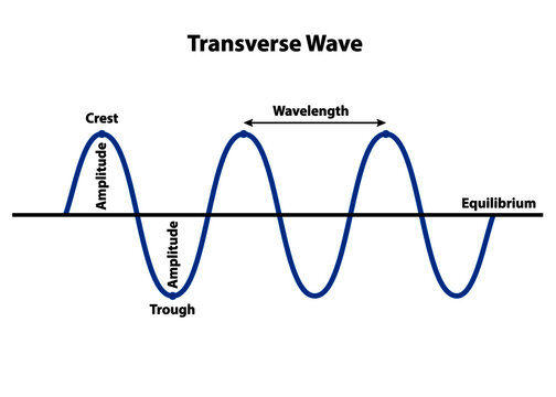 Transverse wave with properties of structure and form showing crest, trough, wavelength, amplitude, and equilibrium.