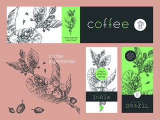 Vintage coffee house banner in vector. Vector specialty coffee package. Fresh roasted coffee label template design with branch illustration of coffee beans in engraved style. Retro badge for cafe.