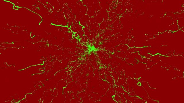 Viral plume spreads in an environment. Computer visual effect.
Synthesized image of viral-bacterial activity.
With alpha channel. ProRes 4444.
