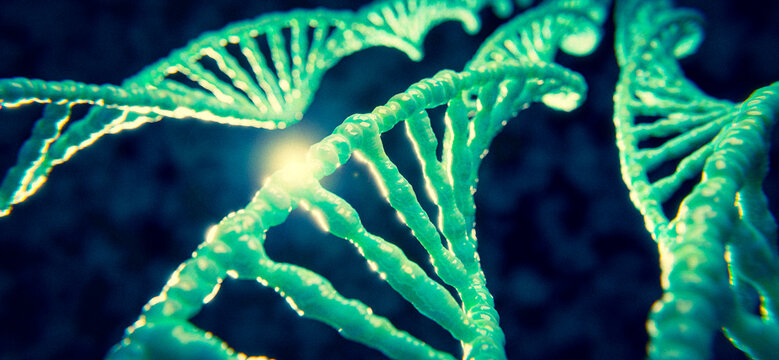 DNA Molek&uuml;l Doppel Helix: Thema Evolution oder Gentechnik