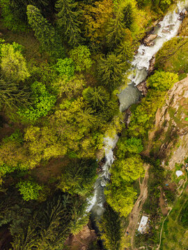 Drone view of green trees growing along Parvati River, India