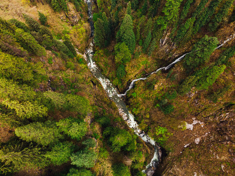 Drone view of clear stream flowing through alpine forest in autumn