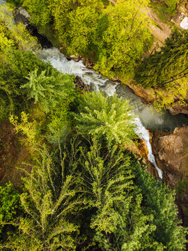 Drone view of green trees growing along Parvati River, India