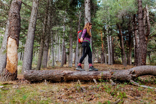 Female trekker balancing while walking on fallen tree in forest at La Pedriza, Madrid, Spain
