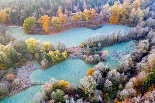 Drone view of turquoise patches of grass in autumn forest at dawn