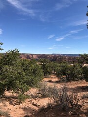 Navajo National Monument 1111img