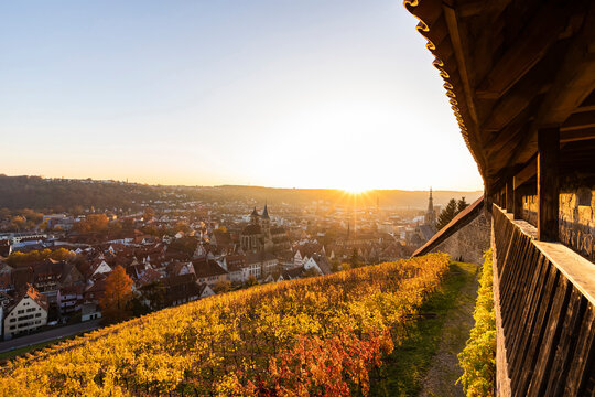 Germany, Baden-Wurtttemberg, Esslingen, vineyards and town in Autumn at sunset, view from castle