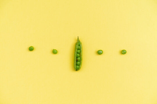 Studio shot of row of green peas and single pea pod against yellow background