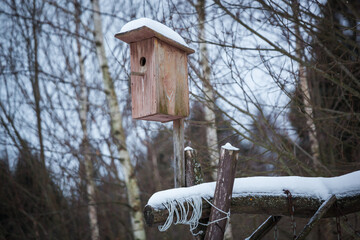 Birdhouse on the background of a winter forest.