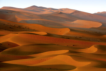 The Dubai Desert, Dubai, United Arab Emirates, Middle East