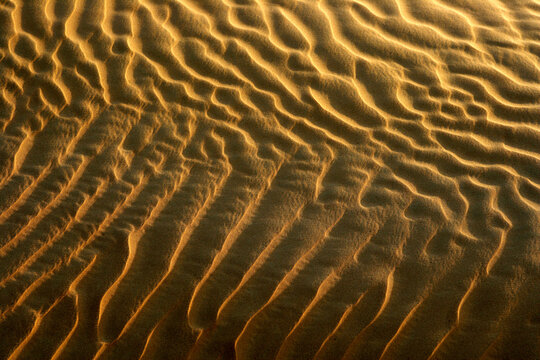 The Dubai Desert, Dubai, United Arab Emirates, Middle East