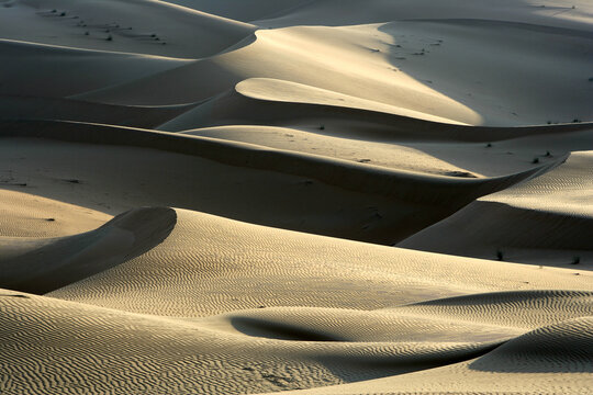 The Dubai Desert, Dubai, United Arab Emirates, Middle East