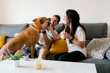 Couple pampering with dog while sitting on sofa at home