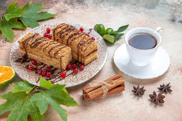 front view cake slices with red berries on light background sweet biscuit cake choco