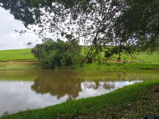 Obraz premium lake in the park