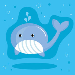 cute little whale animal kawaii character in blue background vector illustration design