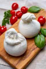 Cheese collection, fresh soft white burrata cheese ball made from mozzarella and cream from Apulia, Italy