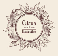 Vintage vector label design for citrus juice packaging. Frame with place for text surrounded by whole lemons and slices. Banner for advertising organic products. Imitation of etching. Freehand sketch.