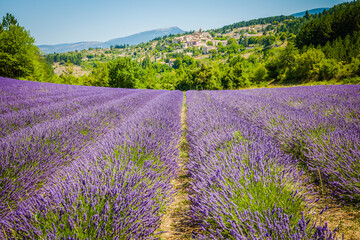 Naklejka na ściany i meble Scenic view of the ancient village of Aurel, Provence, France