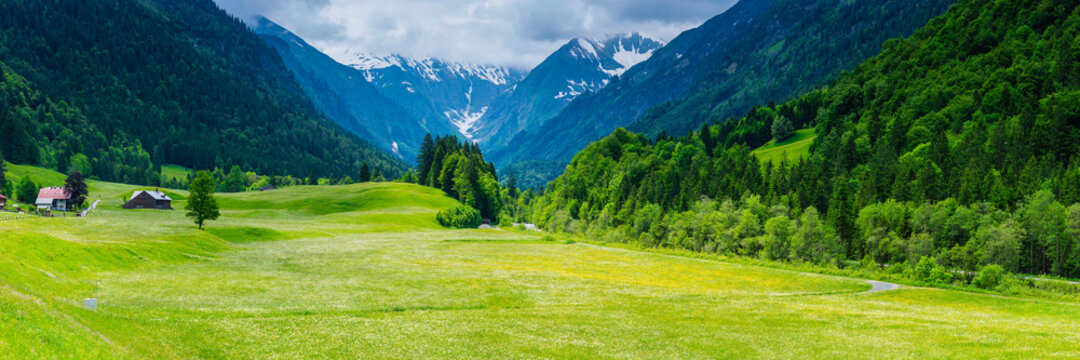 Germany, Bavaria, Allgau, Oberallgau, Trettachtal, Alpine meadow